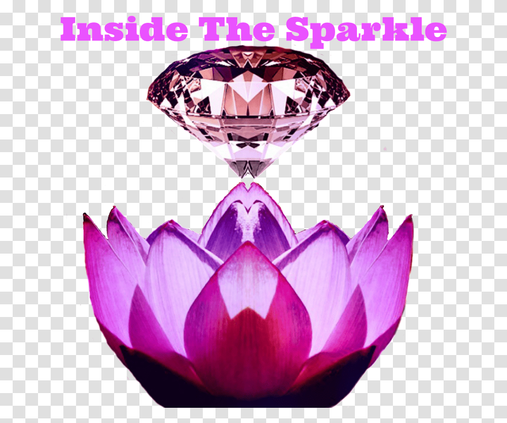 Inside The Sparkle Water Lily, Plant, Flower, Blossom, Diamond Transparent Png