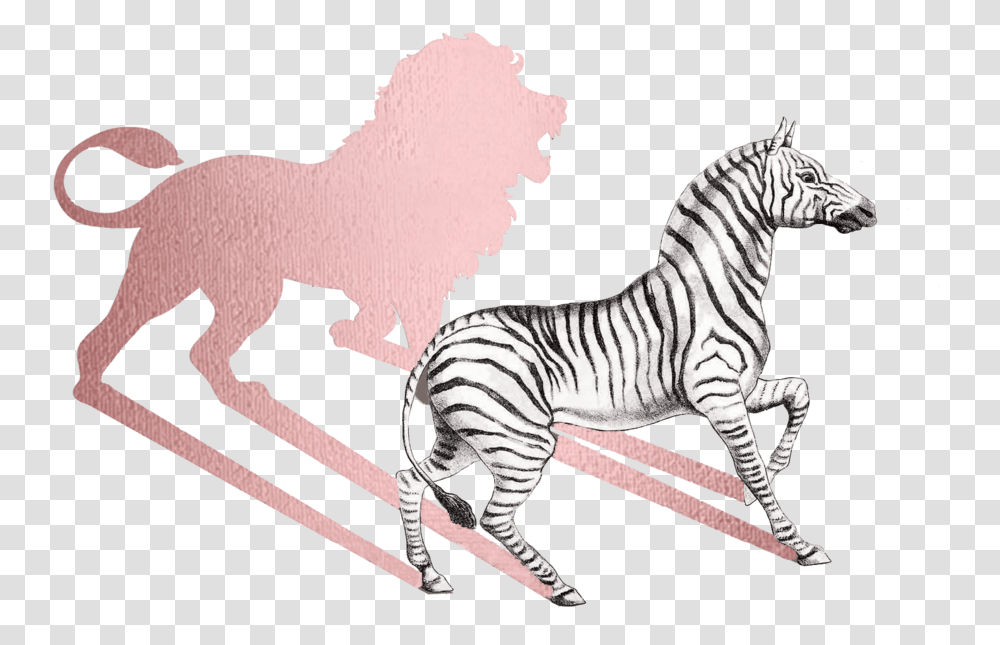 Insights - Teresasandecom Foil Icon, Zebra, Wildlife, Mammal, Animal Transparent Png