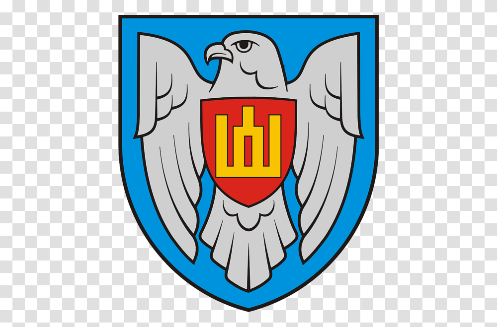 Insignia Of The Lithuanian Air Force, Armor, Shield, Emblem Transparent Png
