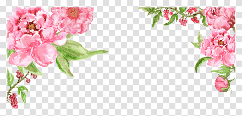 Inspiration Floral Free Border Photoshop, Plant, Flower, Blossom, Carnation Transparent Png