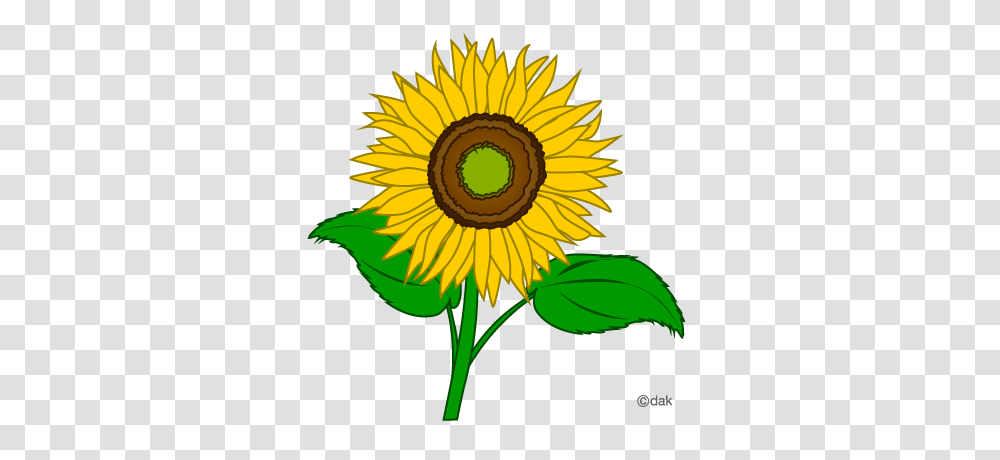 Inspirational Sunflower Clipart Flower Clip Art Clipart Free, Plant, Blossom Transparent Png