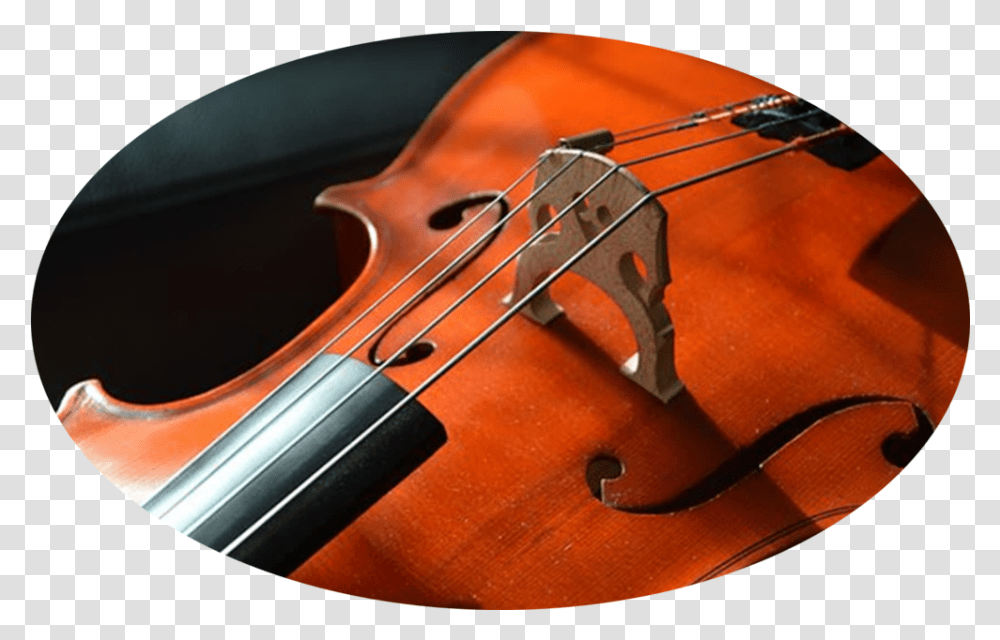 Inspire Music Academy Cello, Musical Instrument, Leisure Activities, Violin, Viola Transparent Png