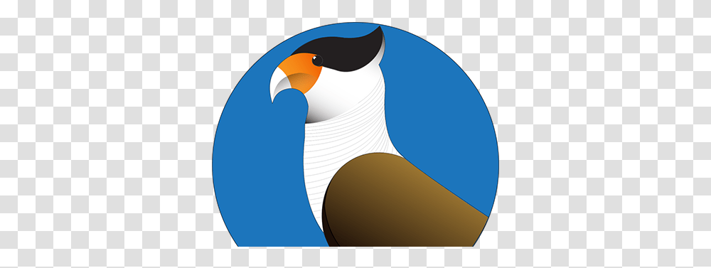 Inspration Projects Photos Videos Logos Illustrations Emperor Penguin, Animal, Bird, Beak Transparent Png