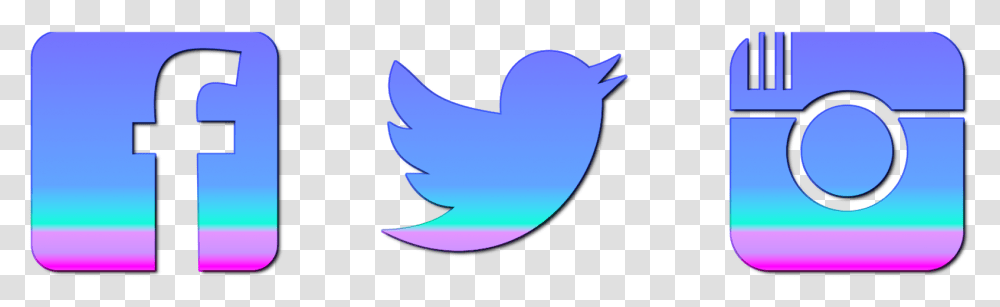 Instagram Facebook Twitter Logo, Bird, Animal, Seagull, Outdoors Transparent Png