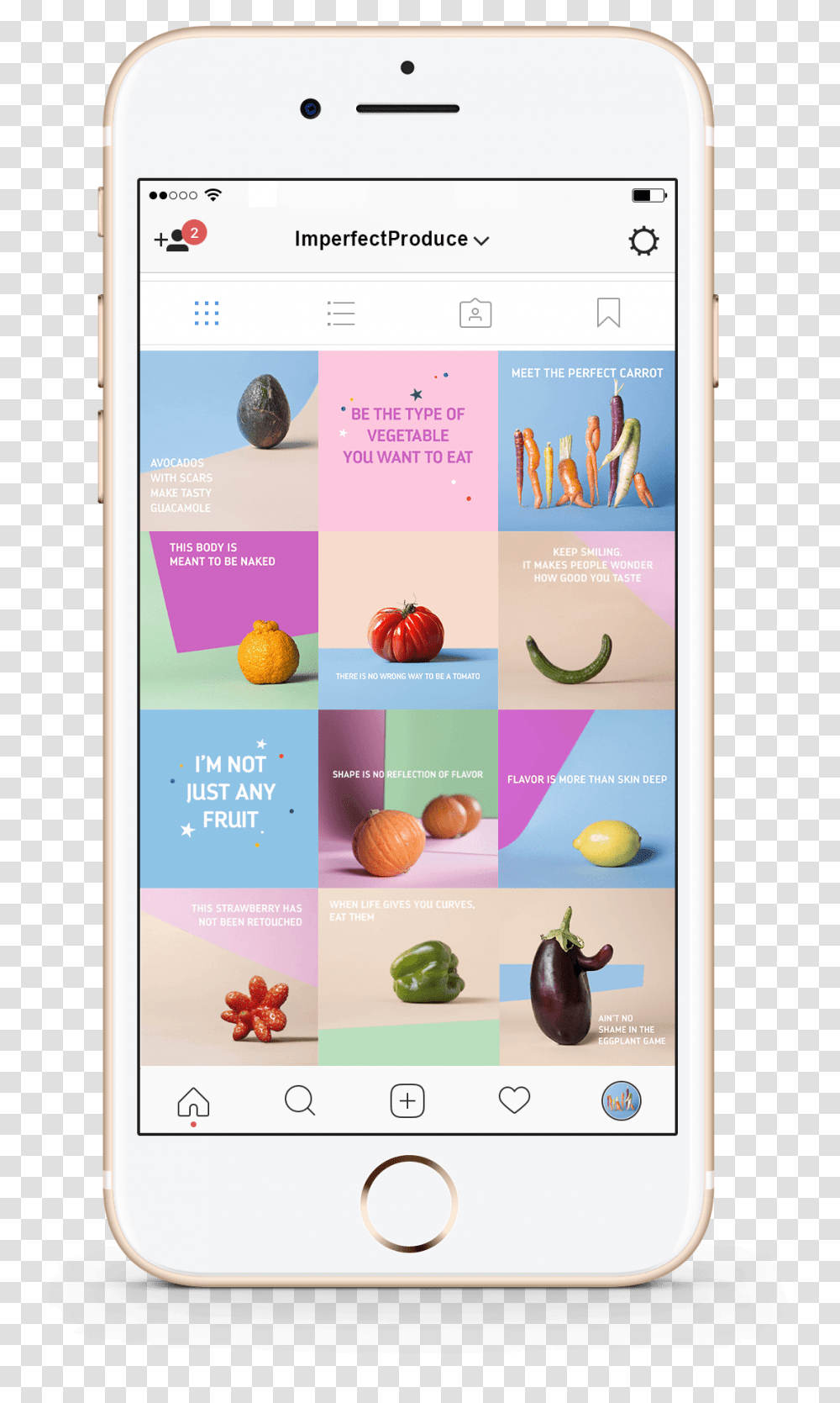 Instagram Feed Smartphone, Mobile Phone, Electronics, Cell Phone, Plant Transparent Png