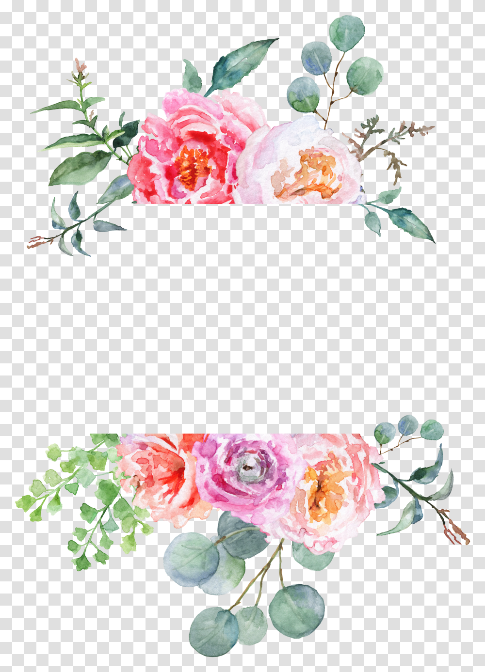 Instagram Flower Border, Plant, Blossom, Peony, Rose Transparent Png