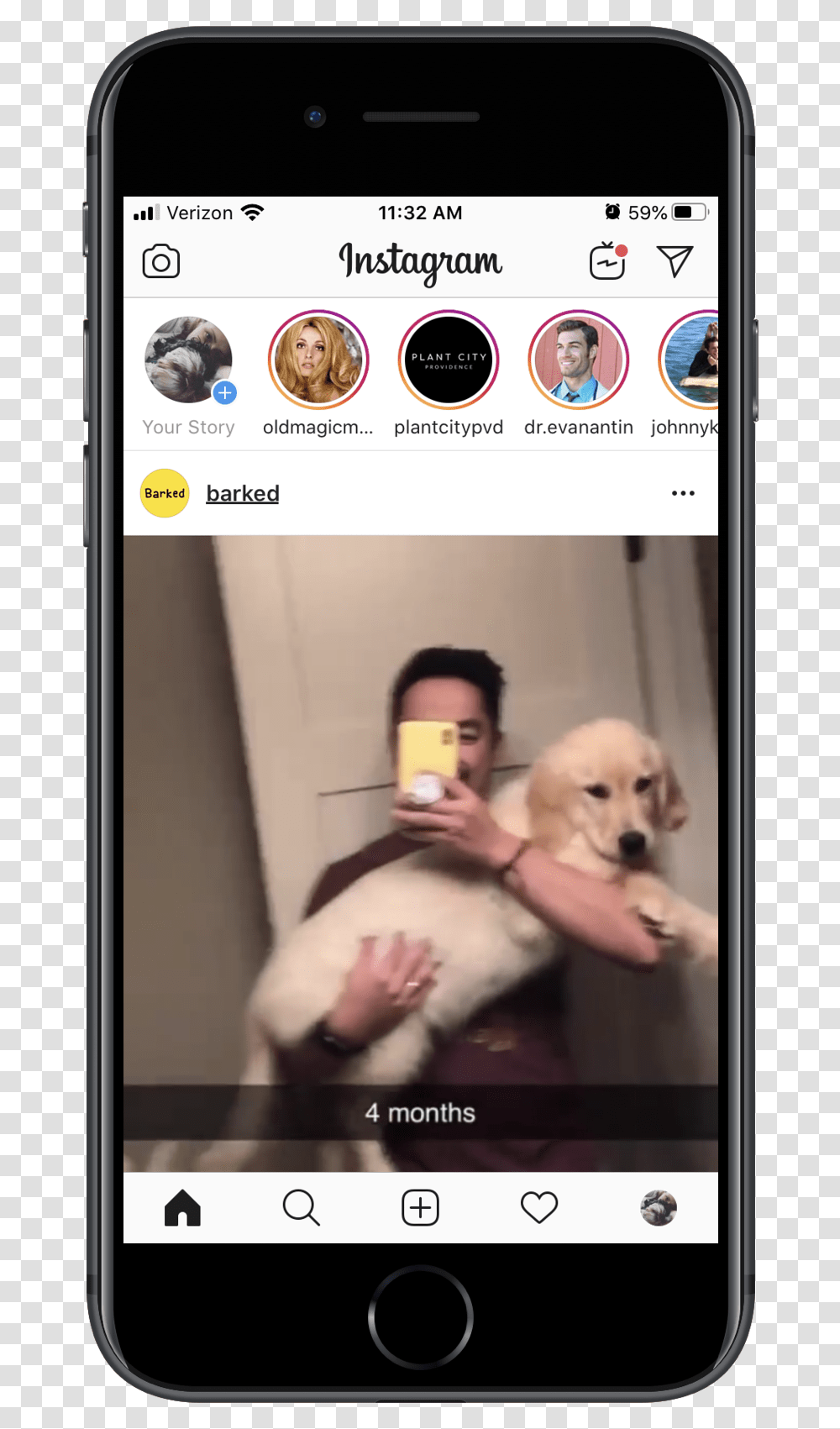 Instagram Fomo Free Iphone, Mobile Phone, Electronics, Person, Canine Transparent Png