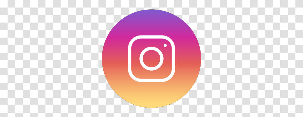 Instagram Icon Tumblr Instagram Logo For Website, Symbol, Trademark, Plant, Text Transparent Png