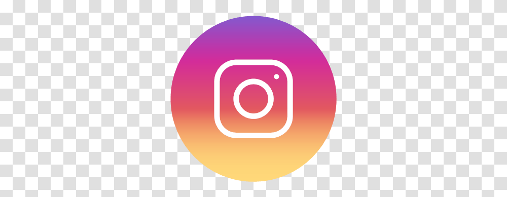 Instagram Logo Website Icon, Symbol, Trademark, Text, Plant Transparent Png