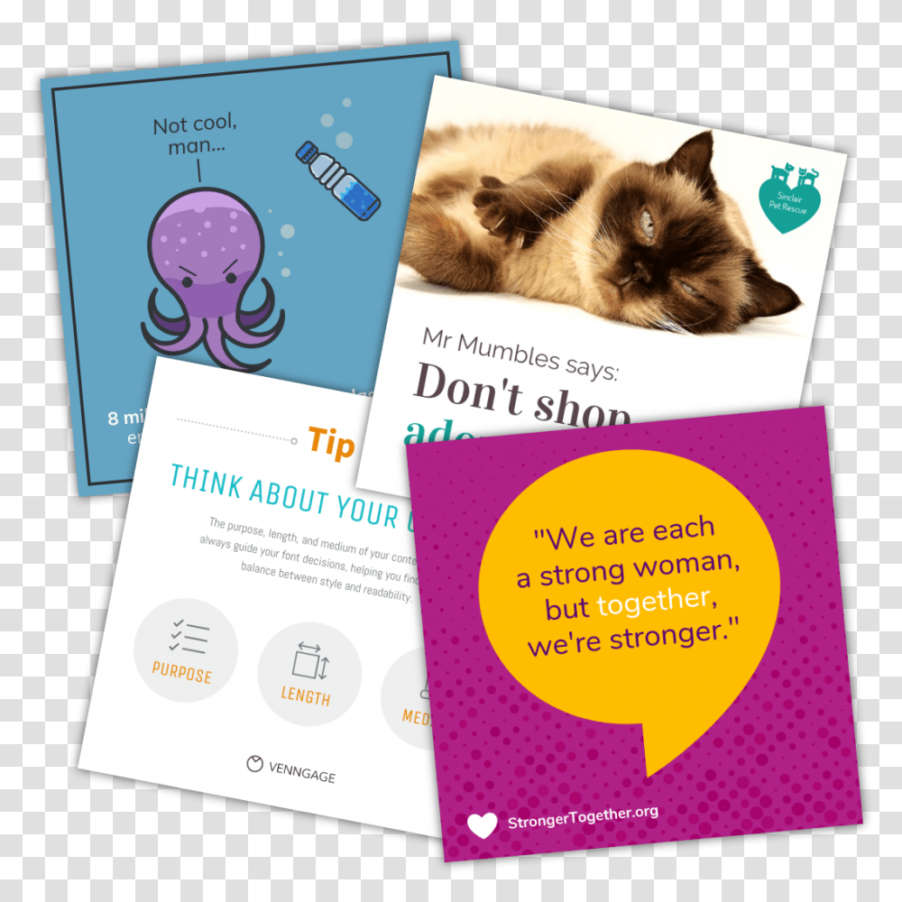 Instagram Templates Cat Grabs Treat, Flyer, Poster, Paper, Advertisement Transparent Png