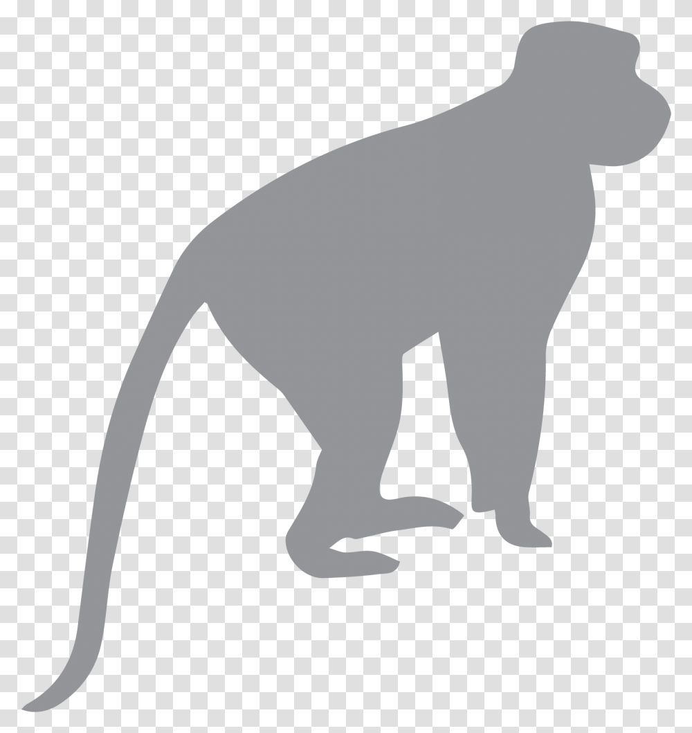 Install Rope Or Pole Bridges Primate Conservation Did We Come From Monkeys, Person, Silhouette, Kneeling, Animal Transparent Png