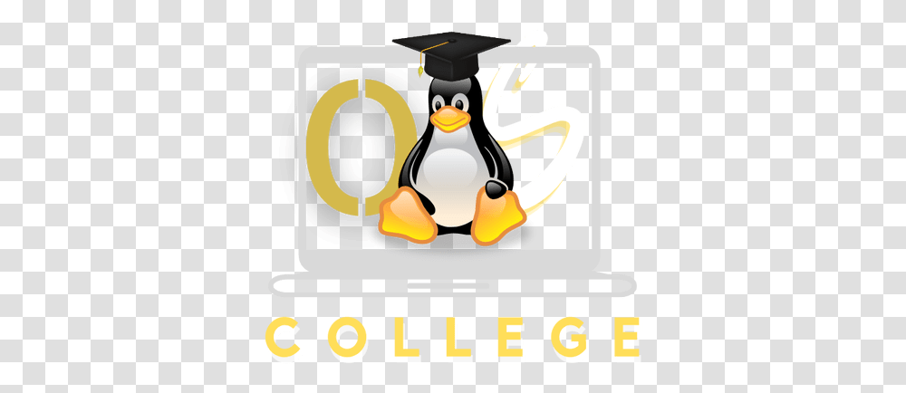 Installing Libreoffice For Graduation, Bird, Animal, Penguin, King Penguin Transparent Png