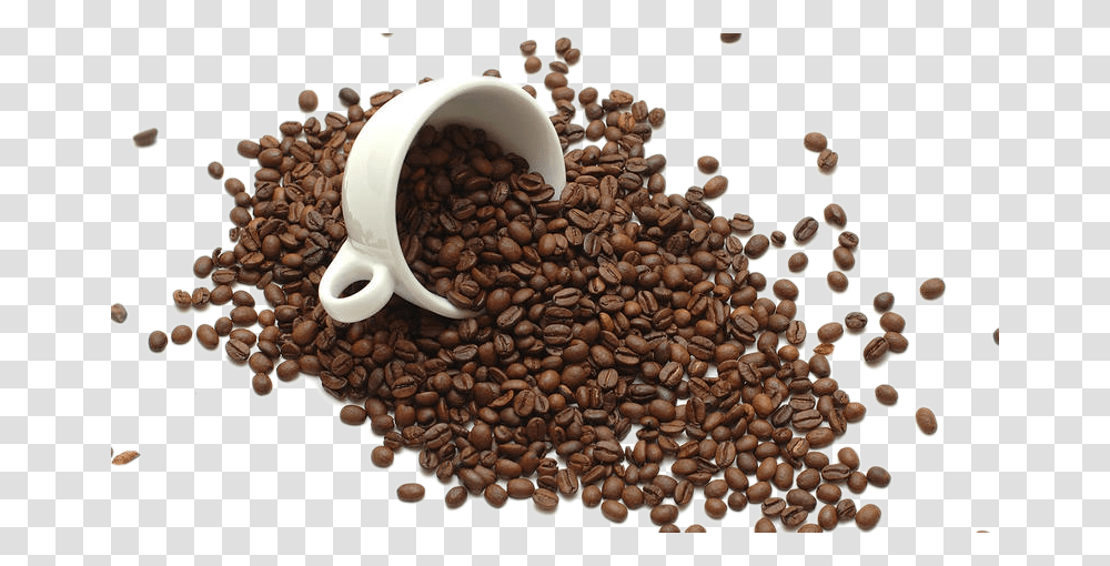 Instant Coffee Tea Coffee Bean Coffee Roasting, Plant, Vegetable, Food, Necklace Transparent Png