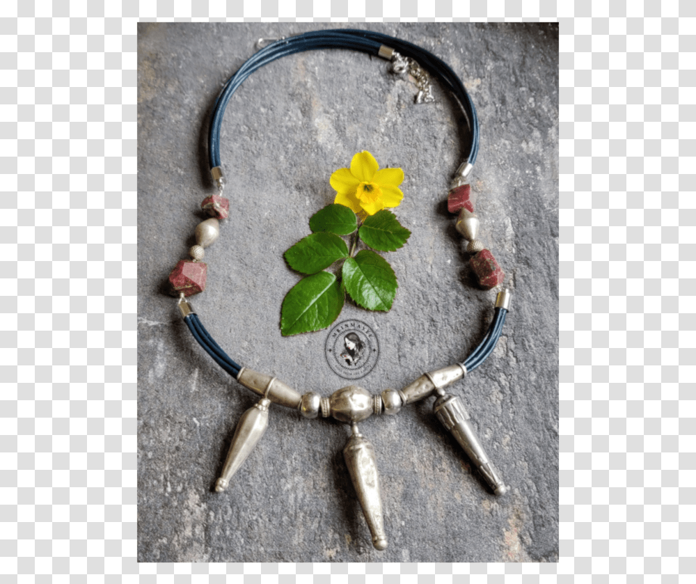 Int 2 Web Lores Bracelet, Necklace, Jewelry, Accessories, Accessory Transparent Png