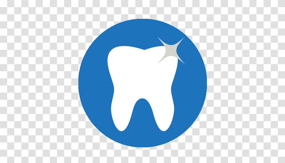 Integrative Dental Specialists Of Long Island Idsli, Label, Shark, Logo Transparent Png