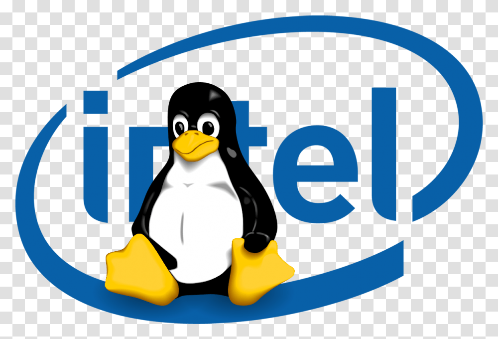 Intel Logo Linux Linux, Penguin, Bird, Animal, King Penguin Transparent Png