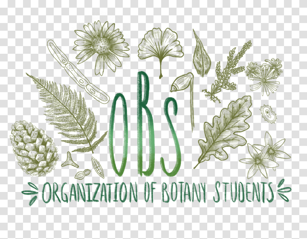 Interdepartmental Science Students Society Drawing, Green, Plant, Leaf, Flower Transparent Png