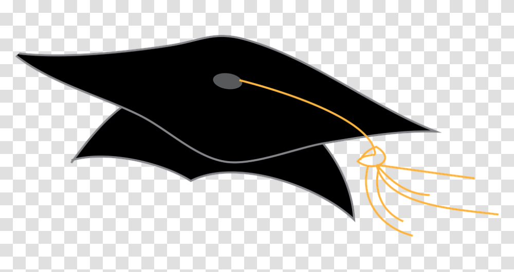 Interest How To Decorate Your Graduation Cap, Bow, Outdoors, Nature Transparent Png
