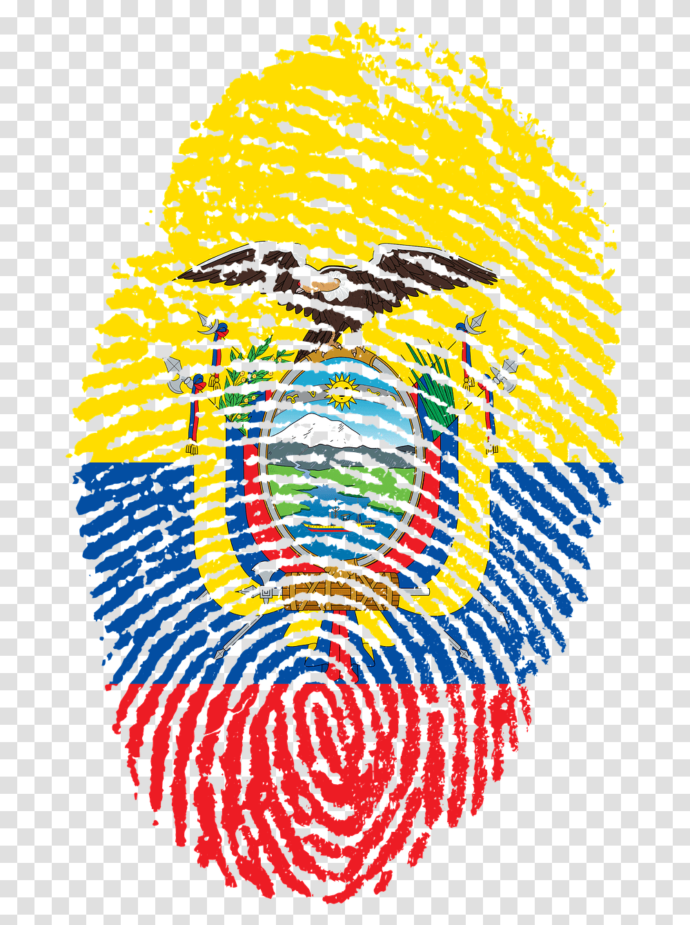 Interesting Facts About Ecuador Flag Huella Venezuela, Collage, Poster, Advertisement Transparent Png