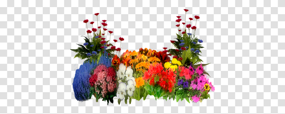Interesting Plants With Flowers, Geranium, Art, Flower Arrangement, Graphics Transparent Png