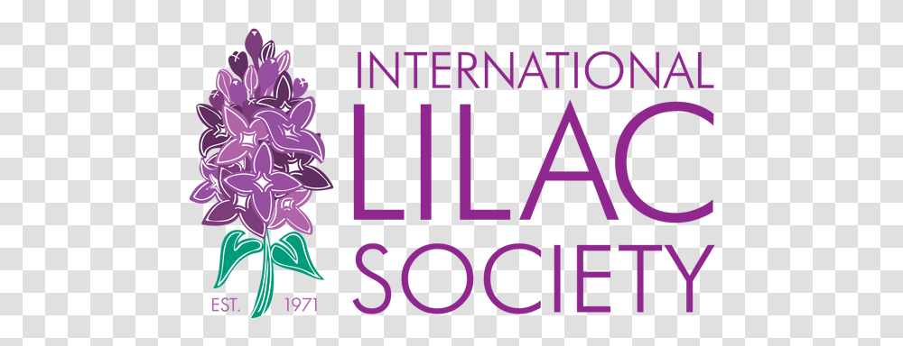 International Lilac Society If It Involves A Bra, Text, Alphabet, Purple, Logo Transparent Png