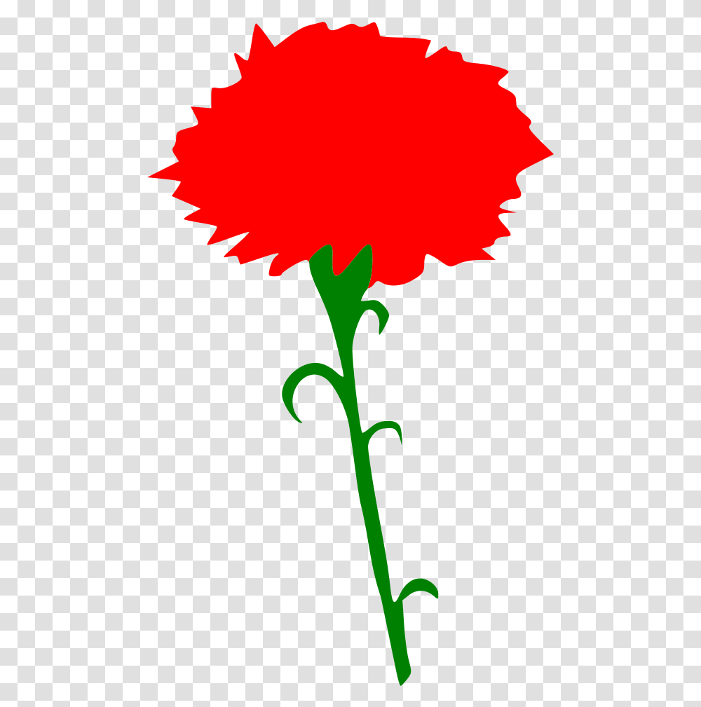 International Working Women's Day Red Carnation Clipart, Plant, Flower, Blossom, Petal Transparent Png