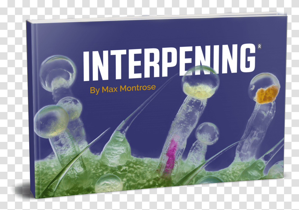 Interpening Book, Jellyfish, Invertebrate, Sea Life, Animal Transparent Png