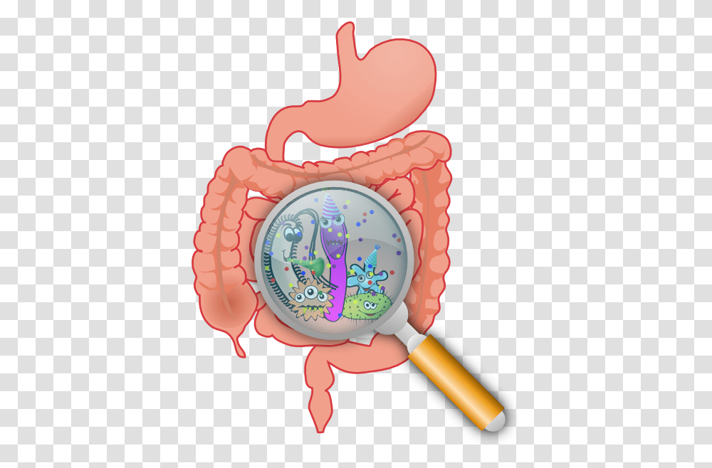 Intestinal Bacteria Clip Art, Birthday Cake, Dessert, Food, Heart Transparent Png