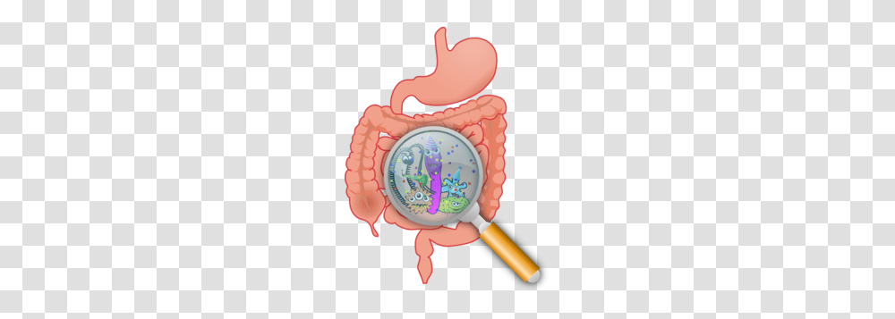 Intestinal Bacteria Clip Art, Birthday Cake, Dessert, Food, Wristwatch Transparent Png