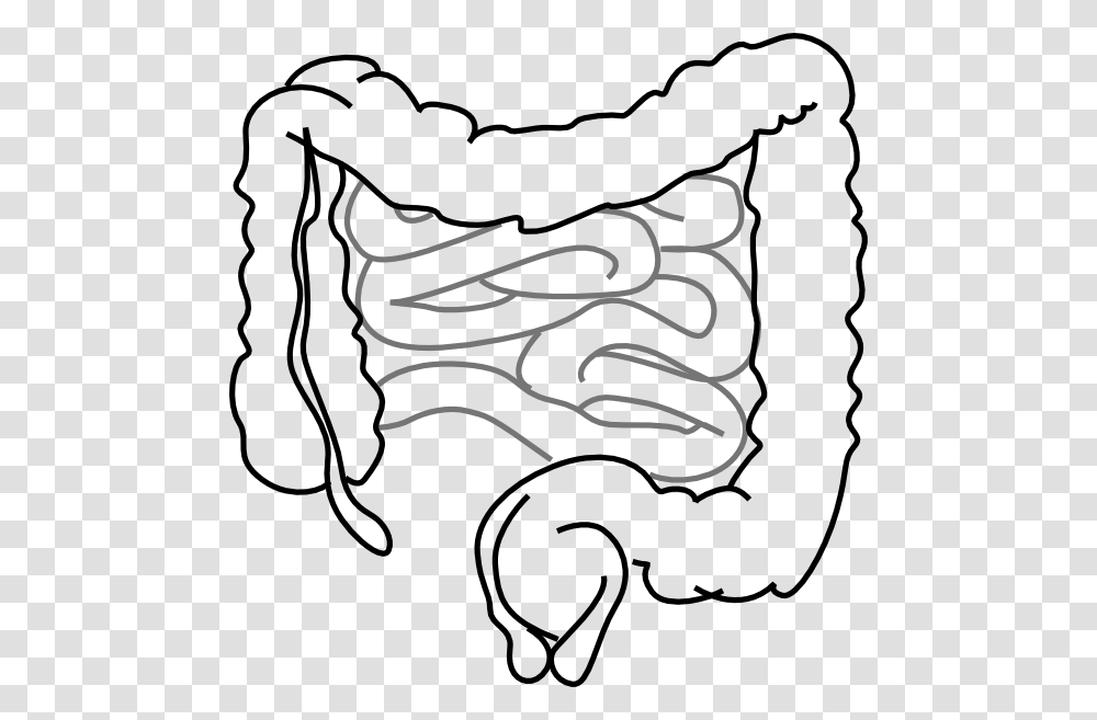 Intestinal Clipart, Pillow, Cushion, Label Transparent Png