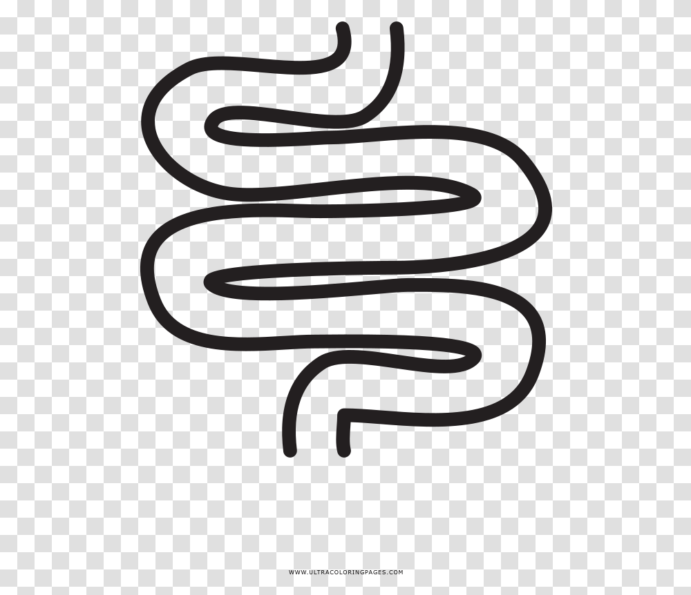 Intestine Calligraphy, Handwriting, Alphabet, Coil Transparent Png