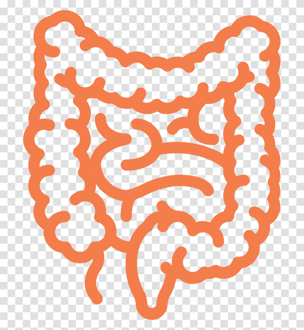 Intestine Ecm Cell Culture Substrates Intestines Icon, Rug, Pattern Transparent Png
