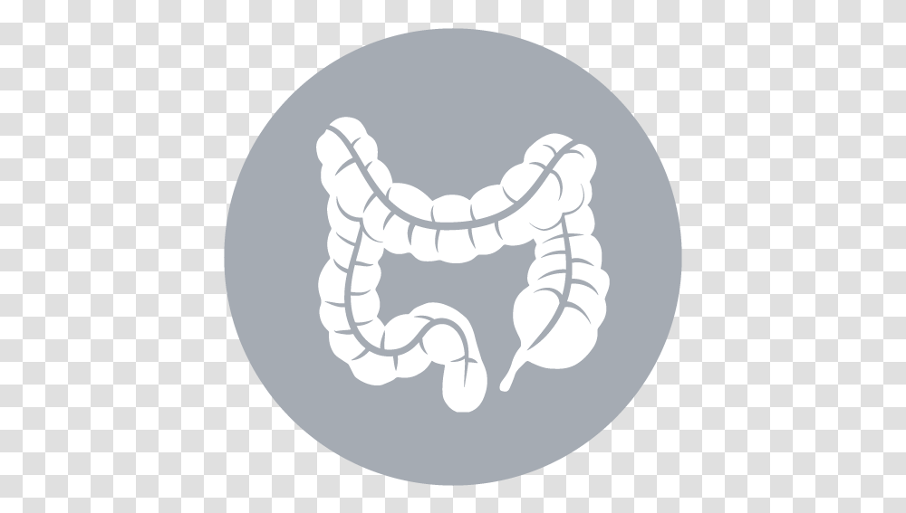 Intestine Icon Image, Teeth, Mouth, Lip, X-Ray Transparent Png