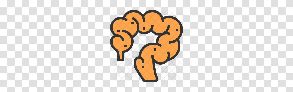 Intestine Icon, Number, Poster Transparent Png