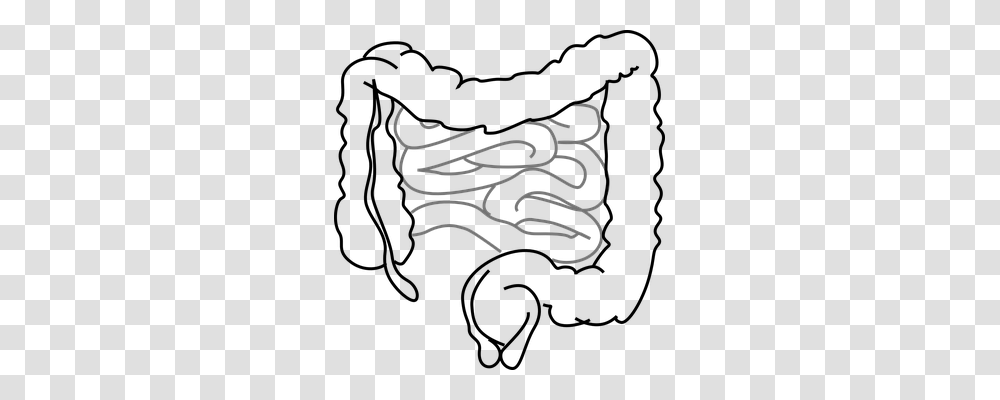 Intestines Technology, Alphabet, Handwriting Transparent Png