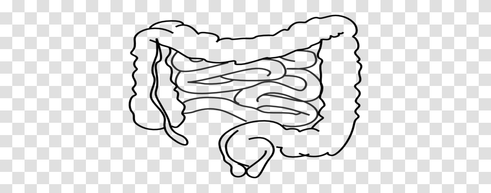 Intestines Coloring, Handwriting, Calligraphy Transparent Png