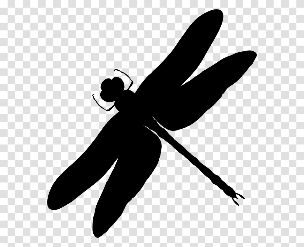 Intricate Dragonfly Silhouette Black And White Dragonfly Silhouettes, Gray, World Of Warcraft Transparent Png