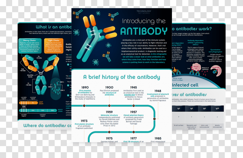 Introducing The Antibody Vertical, Poster, Advertisement, Flyer, Paper Transparent Png