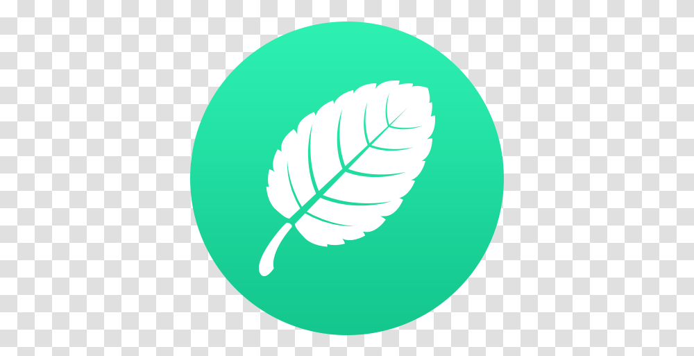 Introduction Mint Illustration, Green, Leaf, Plant, Logo Transparent Png