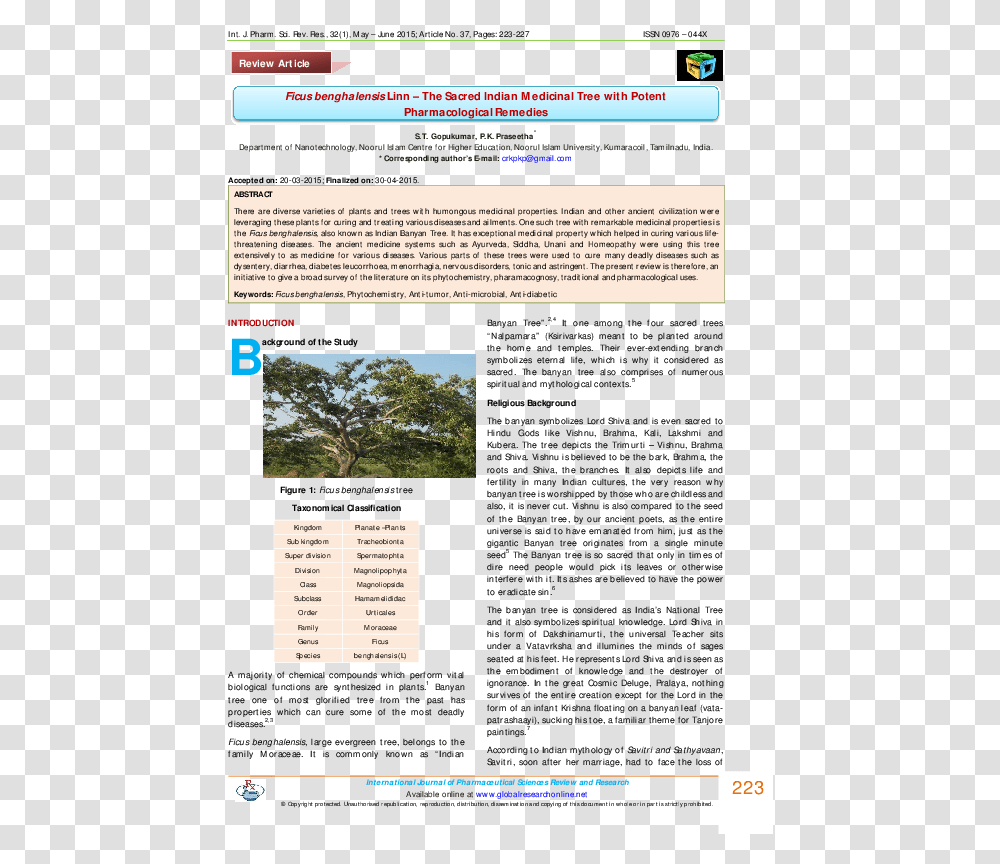 Introduction Of Banyan Tree, Word, Plant, File Transparent Png
