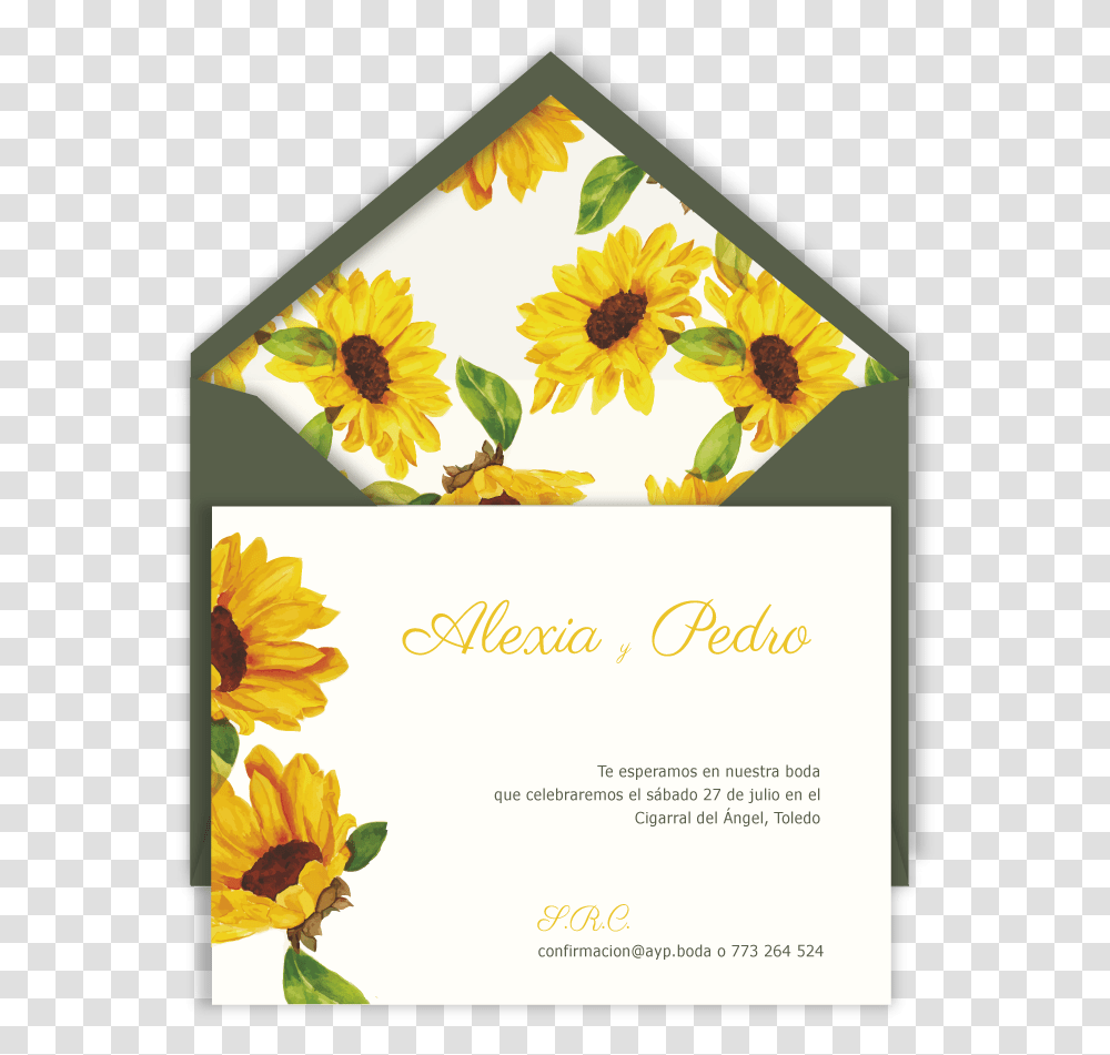 Inv Flores Amarillas Sb Verde Sunflower, Plant, Blossom, Flyer, Poster Transparent Png