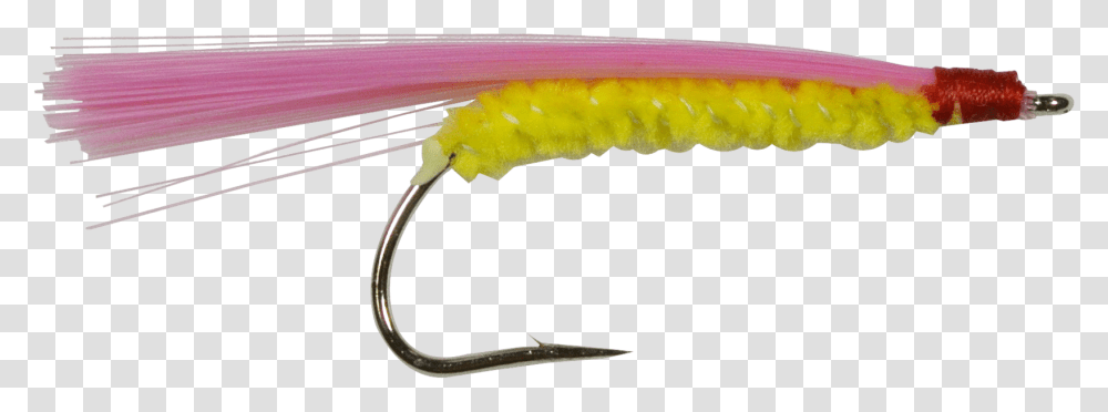 Invertebrate, Animal, Worm, Sea Life, Brush Transparent Png