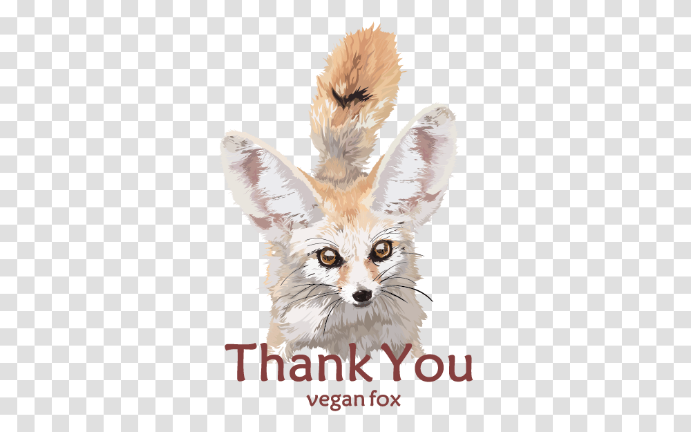 Invertebrate, Fox, Wildlife, Mammal, Animal Transparent Png