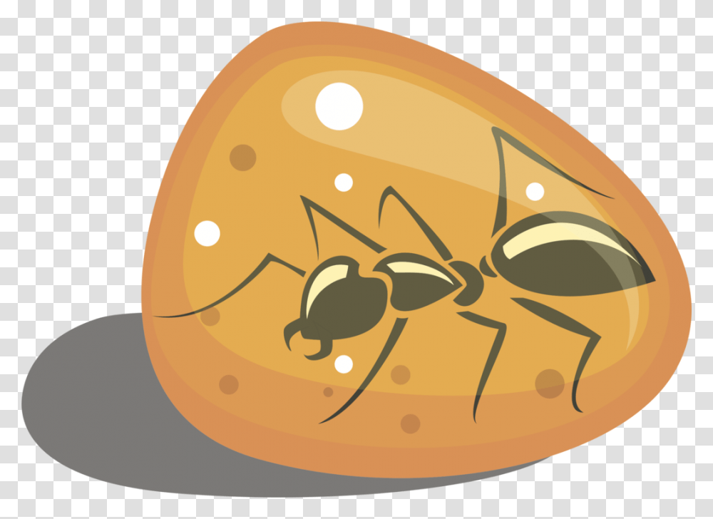 Invertebratefoodfruit Bug In Amber Clip Art, Plant, Egg, Grain, Seed Transparent Png