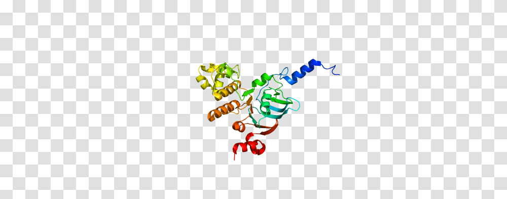 Investigating The Function Of A Transport Protein Where Is, Light, Neon Transparent Png