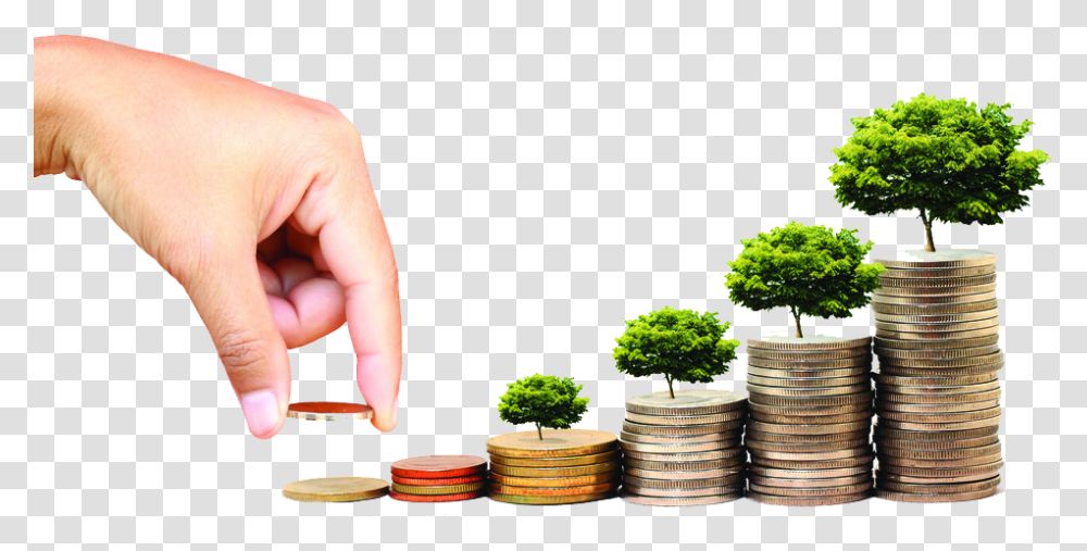 Investing Free Image Fuentes Financiamiento A Corto Plazo, Person, Plant, Jar, Potted Plant Transparent Png