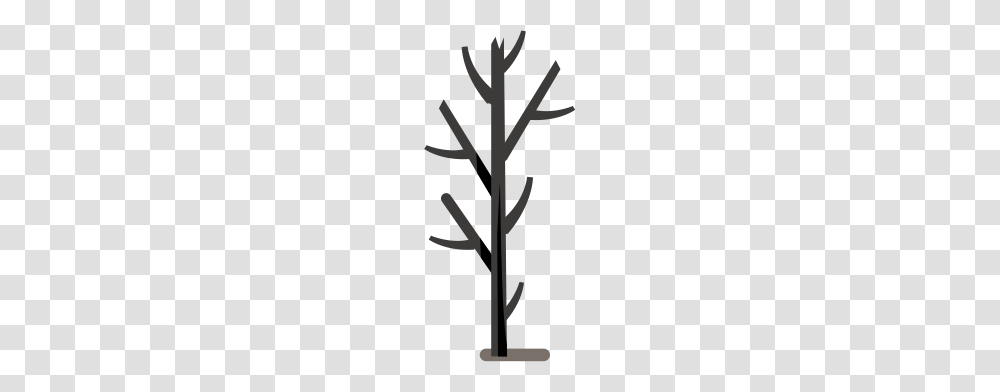 Investing In Fsn, Plant, Tree, Coat Rack Transparent Png