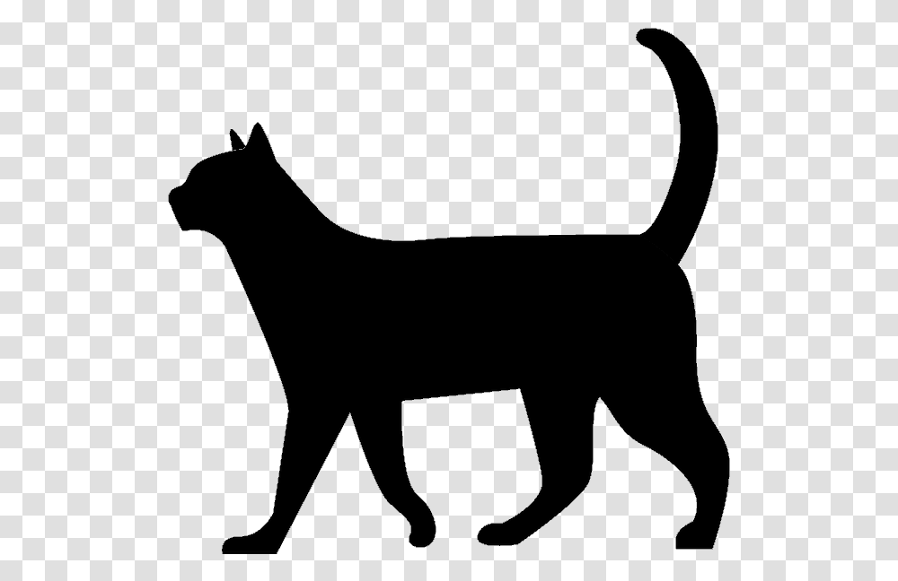 Invisible Lioness Black Cat Silhouette Walking, Bow, Mammal, Animal, Antelope Transparent Png