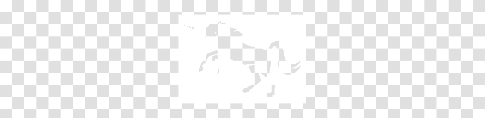 Invisible Pink Unicorn, Horse, Mammal, Animal, Colt Horse Transparent Png