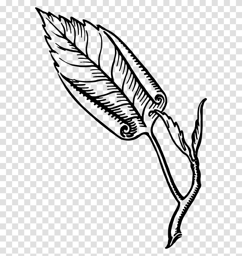 Involute Leaf Clip Art, Gray, World Of Warcraft Transparent Png